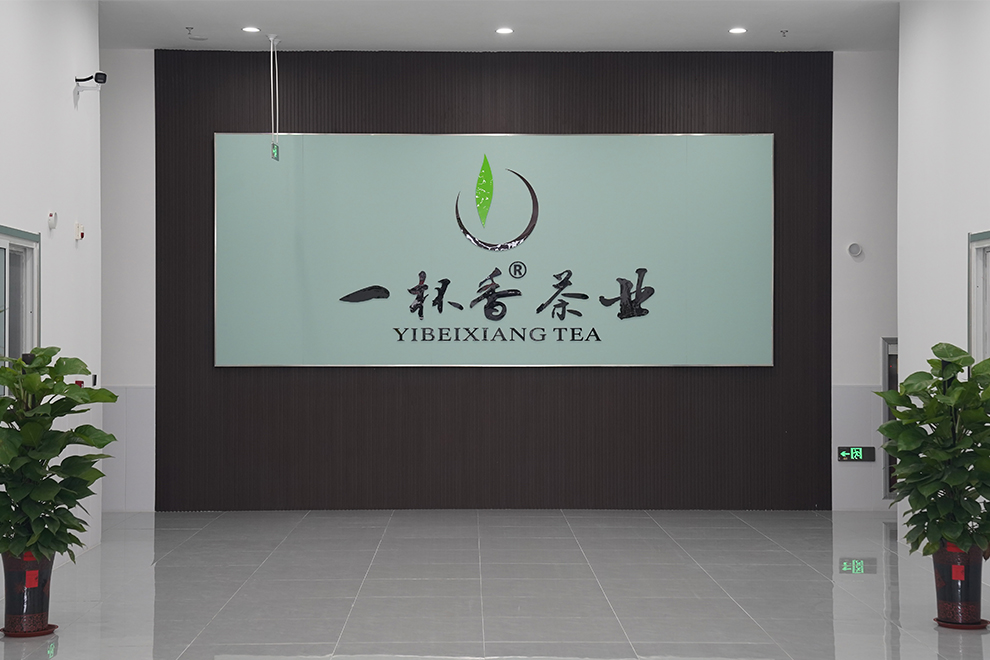 喜報！加盟門店銷售業績再創新高，濟寧區域全面開花