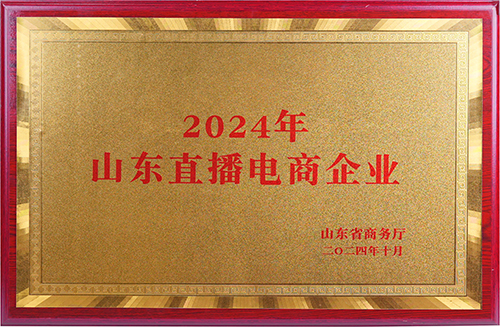 2024年山東直播電商企業